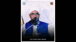 Aise Kaha The Hamare Naseeb Hamko Mila Allah Ka Habib  Alhaaj Qari Rizwan Khan  qrchannel reels [upl. by Alleber]