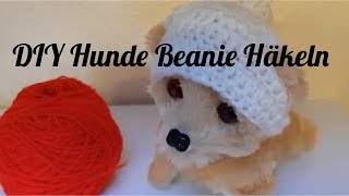 DIY Hunde Beanie Mütze häkeln wie häkelt man [upl. by Ferrigno]