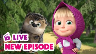 🔴 LIVE STREAM 🎬 Masha and the Bear 🆕 New Episode 🔥 [upl. by Dleifniw]