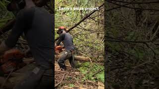 trailbuilding trails outdoors woodworking arborist dirt dtft camping [upl. by Jannery99]