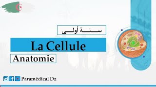 درس la cellule للسنة أولى شبه طبي paramédical [upl. by Yrro320]