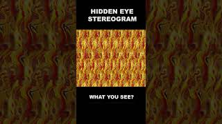 Eye exercise 15 hiddeneye stereogram magiceye eyestrain illusion [upl. by Varuag]