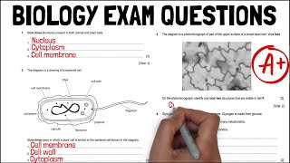 Biology PAST PAPER EXAM QUESTIONS Unit 1 Revision  A Grade  KS4 Science  IGCSE Biology [upl. by Woods]