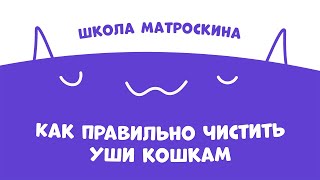 Школа Матроскина Как правильно чистить уши кошкам [upl. by Shelby]