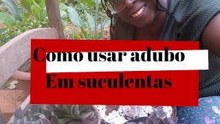 como usar adubo em suculentas [upl. by Andree]