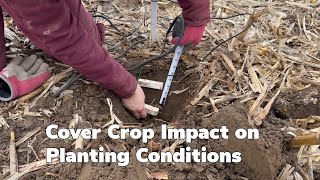 How Cover Crops Impact Spring Planting [upl. by Annaoj789]