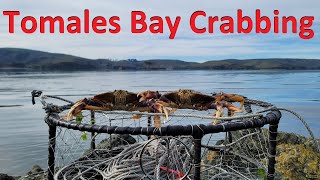 Dropping Crab Pots inside of Tomales Bay CA w Underwater Camera [upl. by Annaig496]