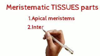 Definition of meristematic Tissue and its classification  Define apical meristems  study [upl. by Audley]