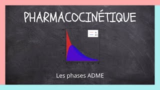 Pharmacocinétique  Les phases ADME [upl. by Harihs]