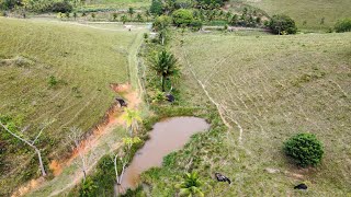 sitio 21 hectares escritura em Tamandaré PE sercado casa sede porteira fechada 11 bois 800 mil [upl. by Anidan]