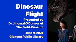 Dinosaur Flight [upl. by Ettennan]