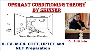 Operant conditioning skinner Hindi Theory of Operant conditioningLlearning theories NET CTET [upl. by Icam]