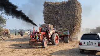 Belarus Mtz 50 Pulling Sugarcane Load Trailer From Yard 🤣🤔 [upl. by Nylrad]