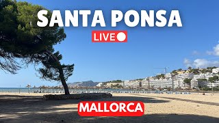 🔴 Live in Santa Ponsa Mallorca Majorca  24 November 2024 [upl. by Anivas]