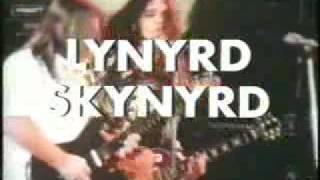 lynyrd skynyrdsweet home alabama [upl. by Ecyla]