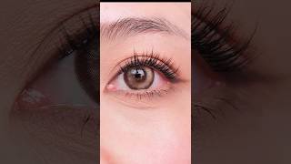 How to Apply False Eyelashes Like a Pro  StepbyStep Tutorial [upl. by Darom]