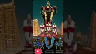 Om Namo Venkatesaya 🙏 shortvideo shorts youtubeshorts youtubeshort youtube ytshorts [upl. by Annala]