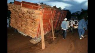 Road to My Village quotBamenda  Kumboquot [upl. by Yud]