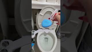 How to put Lysol Toilet Cleaners [upl. by Jerry]