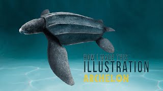 How I made this illustration  Archelon Paleoart [upl. by Vanessa]