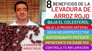 8 beneficios de⚡❤️ LEVADURA DE ARROZ ROJO❤️⚡ COLESTEROL💪CORAZÓN ❤️CEREBRO⚙️ ANTIOXIDANTE💖 DIABETES👍 [upl. by Slosberg]