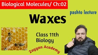 What is Waxes  structure properties and importance  Ch 02 Biological molecules [upl. by Llemej735]