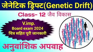 जेनेटिक ड्रिफ्ट क्या है  genetic drift class 12  founder effect  bottleneck effect  evolution [upl. by Traver427]