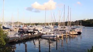 Virgin Islands Places American Yacht Harbor Red Hook St Thomas [upl. by Ferd132]