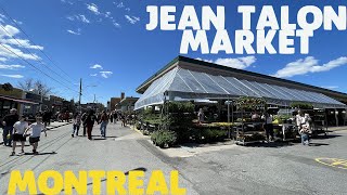 Montreal Jean Talon market  summer atmosphere in May [upl. by Ettenajna499]