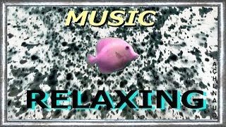 SWIM LITTLE FISH SWIM Music ZEN Relaxation Zénitude JeanLuc LACHENAUD [upl. by Ingrim769]