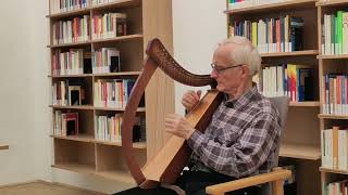 Lap Harp in Vienna [upl. by Nadnerb364]