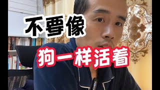 不要像狗一样活着，从国企程序员到编程讲师，习得性无助。 [upl. by Leiram628]