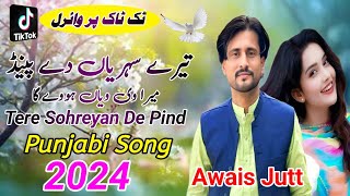 Tere Sohreyan De Pind  Awais Jutt  Mera ve Wehah  New Saraiki song  New Song 2024 [upl. by Aurel]