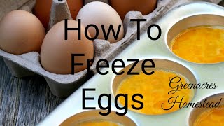 How to Freeze Eggs [upl. by Gibbons]