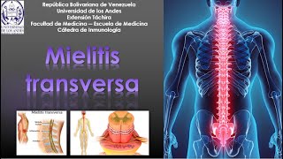 Mielitis transversa [upl. by Brenner115]