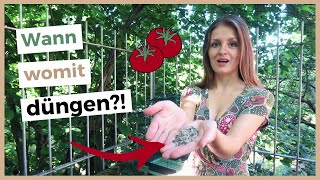 Tomaten richtig düngen 🍅 Nutzt du diese 3 Methoden [upl. by Nicki516]