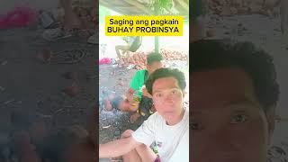 Saging ang pagkain Buhay PROBINSYA viralshort [upl. by Navlys492]