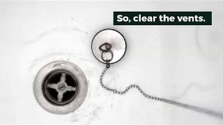 Bathtub Drain Gurgles when Toilet is Flushed Noise Removal Guide [upl. by Nari]