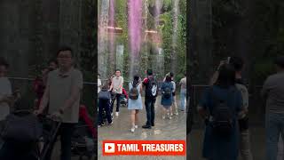 Singapore Cloud Forest Water Fall  shorts shortsviral tamil [upl. by Lundgren]