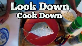 LOOK DOWN COOK DOWN  Catch and Cook [upl. by Alek271]