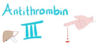 Antithrombin III  How Heparin Works [upl. by Lativa]