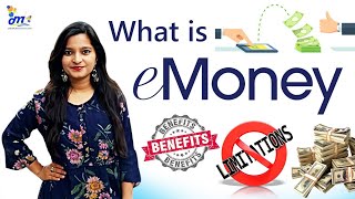 What you mean by EMoney  Benefits and Limitation of EMoney in Hindi  ECommerce [upl. by Naxor529]