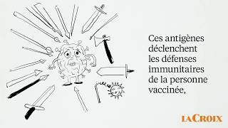 Vaccins  à quoi servent les adjuvants [upl. by Tayler]