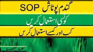 How to use potash in wheat cropWhen to use Potash SOP [upl. by Seabrooke]