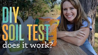 Easy DIY Soil Test [upl. by Ahsilek]