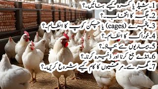 ghar mein chotta layer farm banana eik umadah or nafa bakhsh kam hay  poultry farm business plan [upl. by Lemrej]