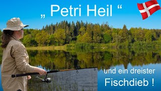 Abenteuer Naturfotografie  Petri Heil und ein dreister Fischdieb [upl. by Talya]