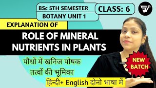 Role of Mineral Nutrients in Plants  Micronutrients amp Macronutrient  BSc 5th Semester Unit 1 [upl. by Anirb]