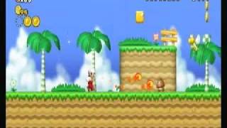 NSMB Wii Custom Level  Green Hill Zone Act1 [upl. by Assena]