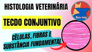 Introdução ao tecido Conjuntivo  Histologia veterinária [upl. by Antonia]